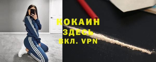 шишки Алексин