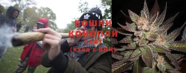 шишки Алексин