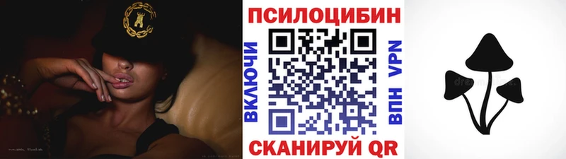 mega онион  хочу   Лихославль  Псилоцибиновые грибы Cubensis 
